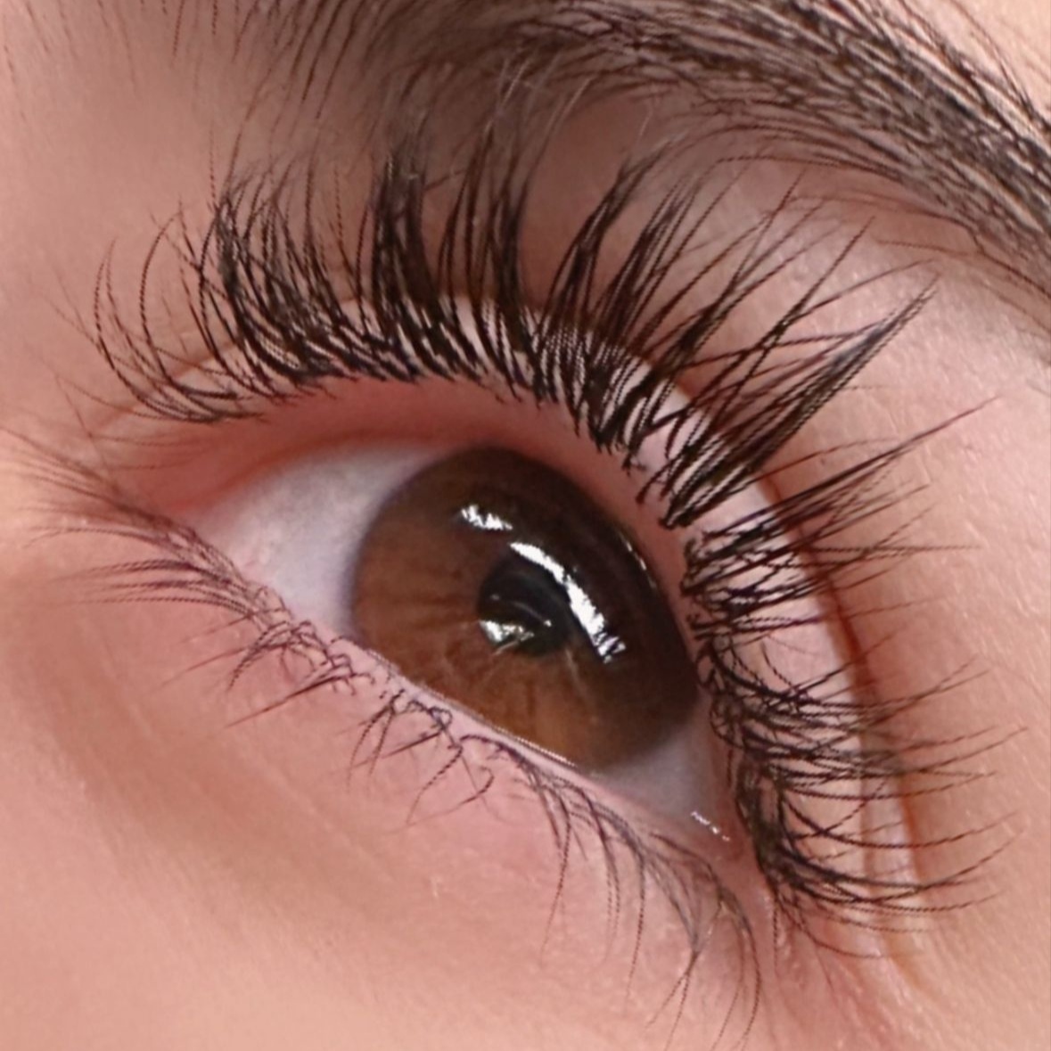 Classic Lash Extensions at Beauty in Bloom in Centennial, CO