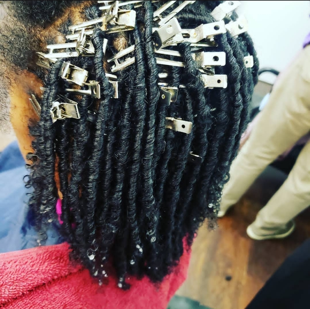Starter Locs