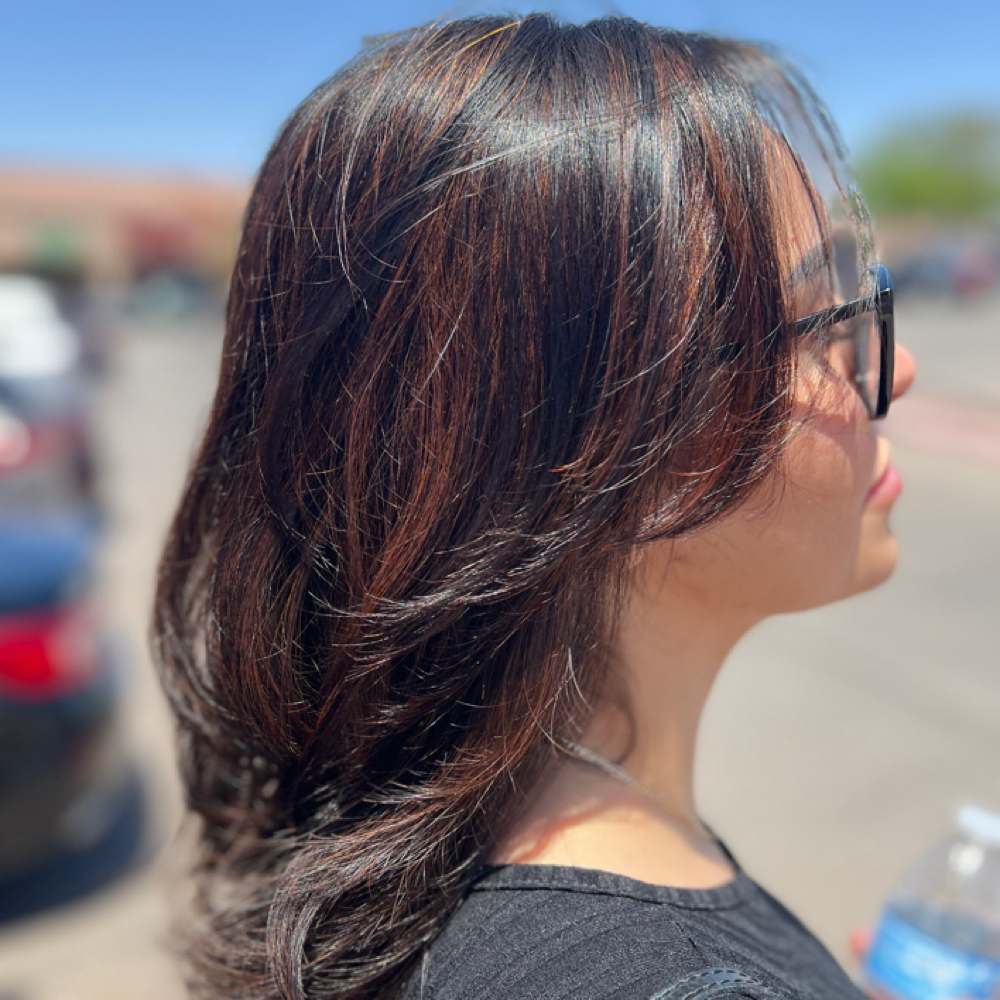 Low Lights at Beauty by Karen in El Paso, TX