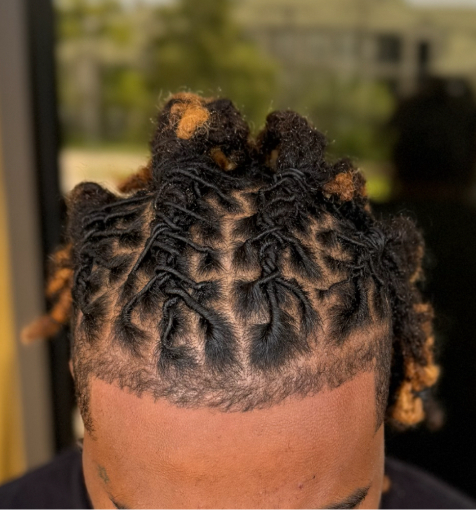 Loc Retwist-XL (150+ Locs)