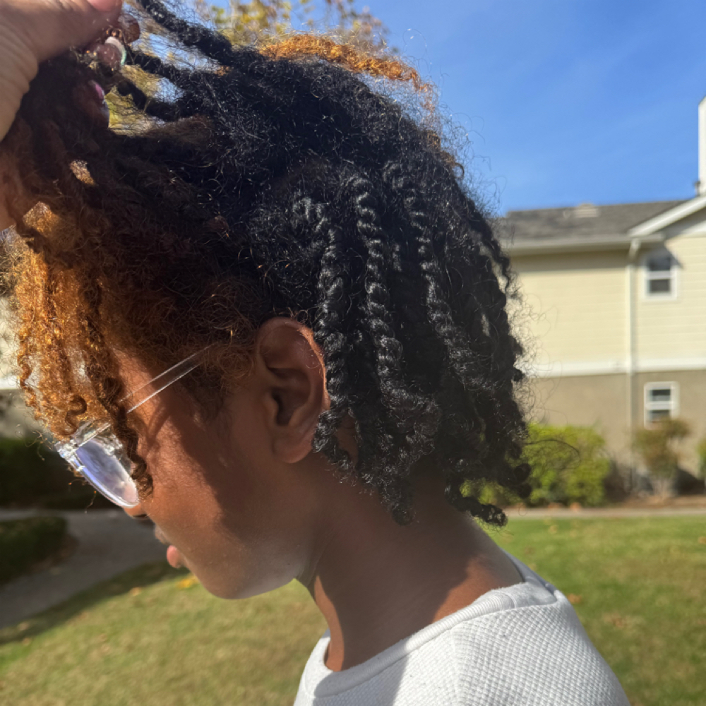 Two Strand Twist at MIKA'S Beauty Services in Vista, CA
