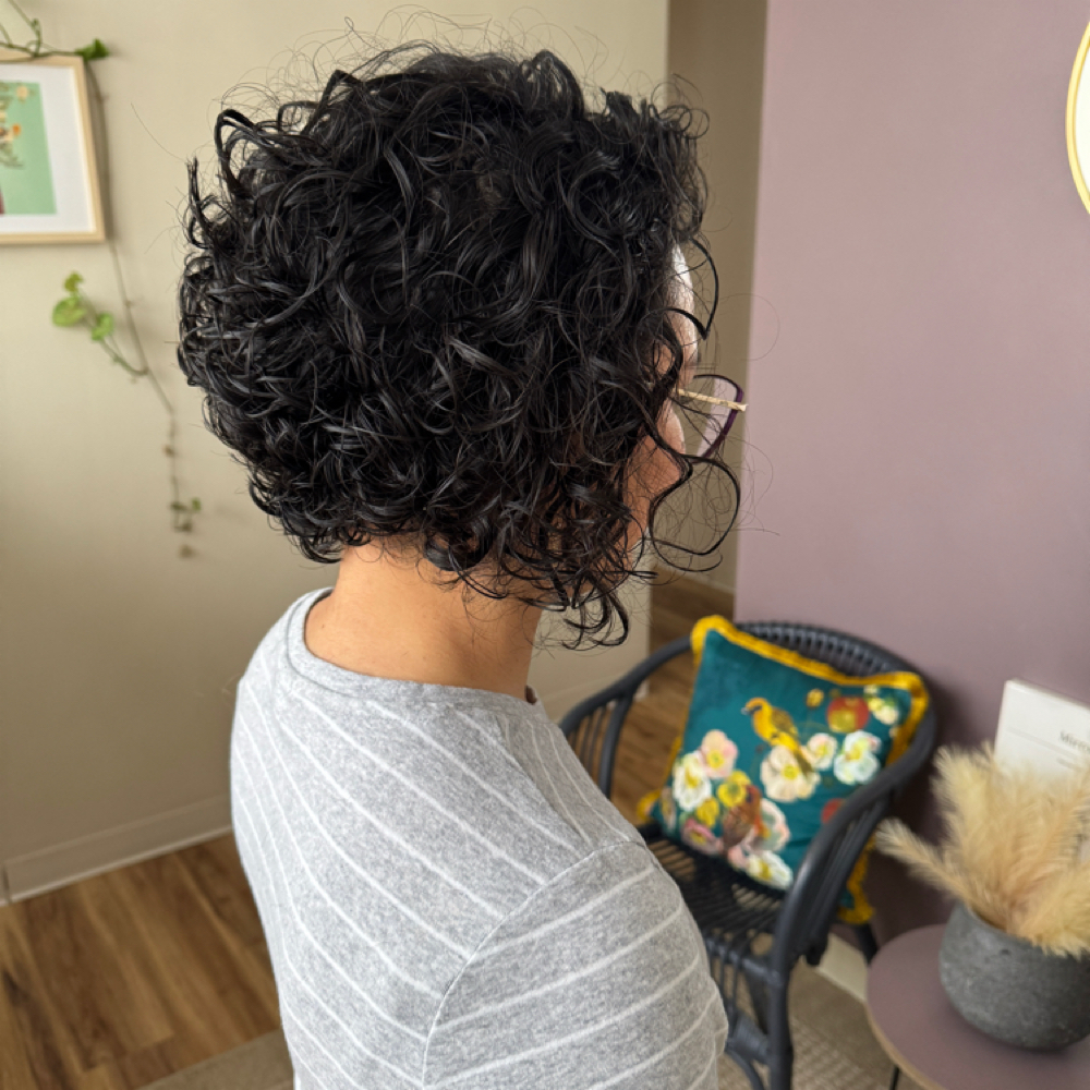 Curly Cut & Diffuse