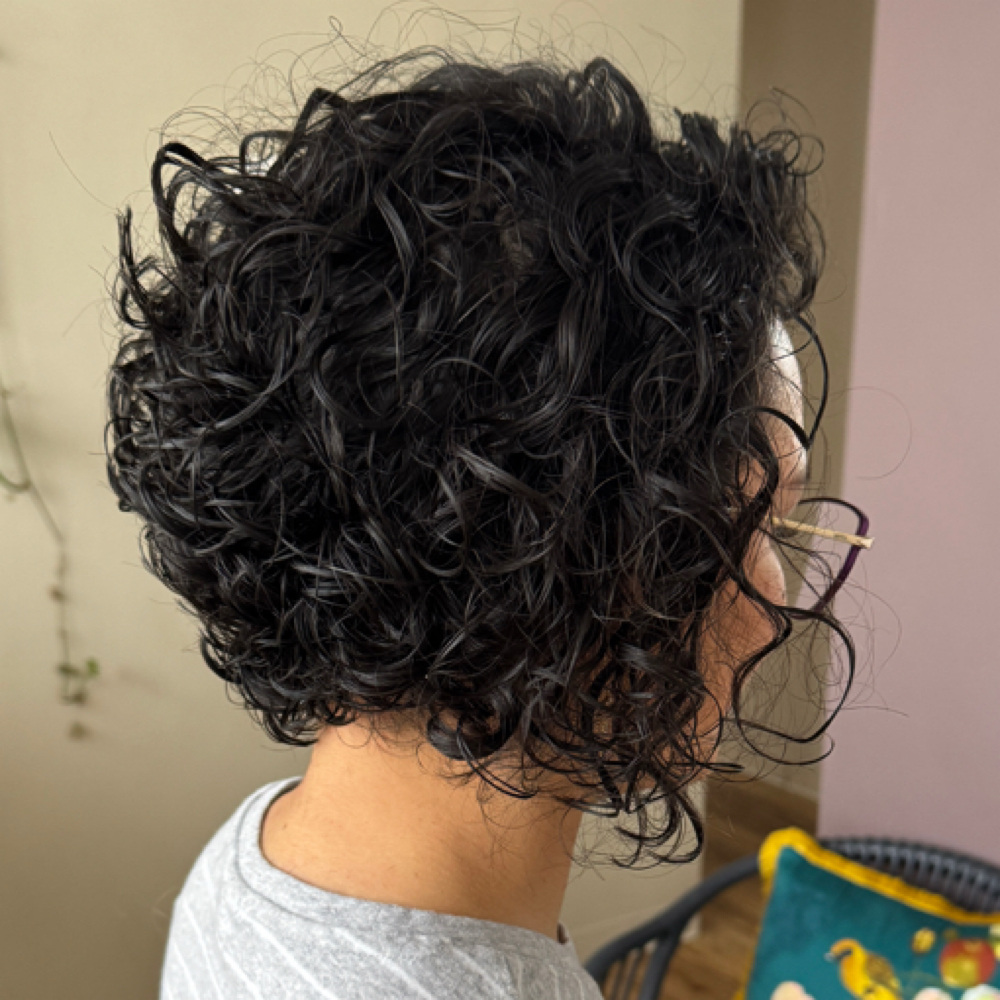 Curly Cut & Diffuse at Poppy & Fern Hair Studio in Watertown Ny, NY