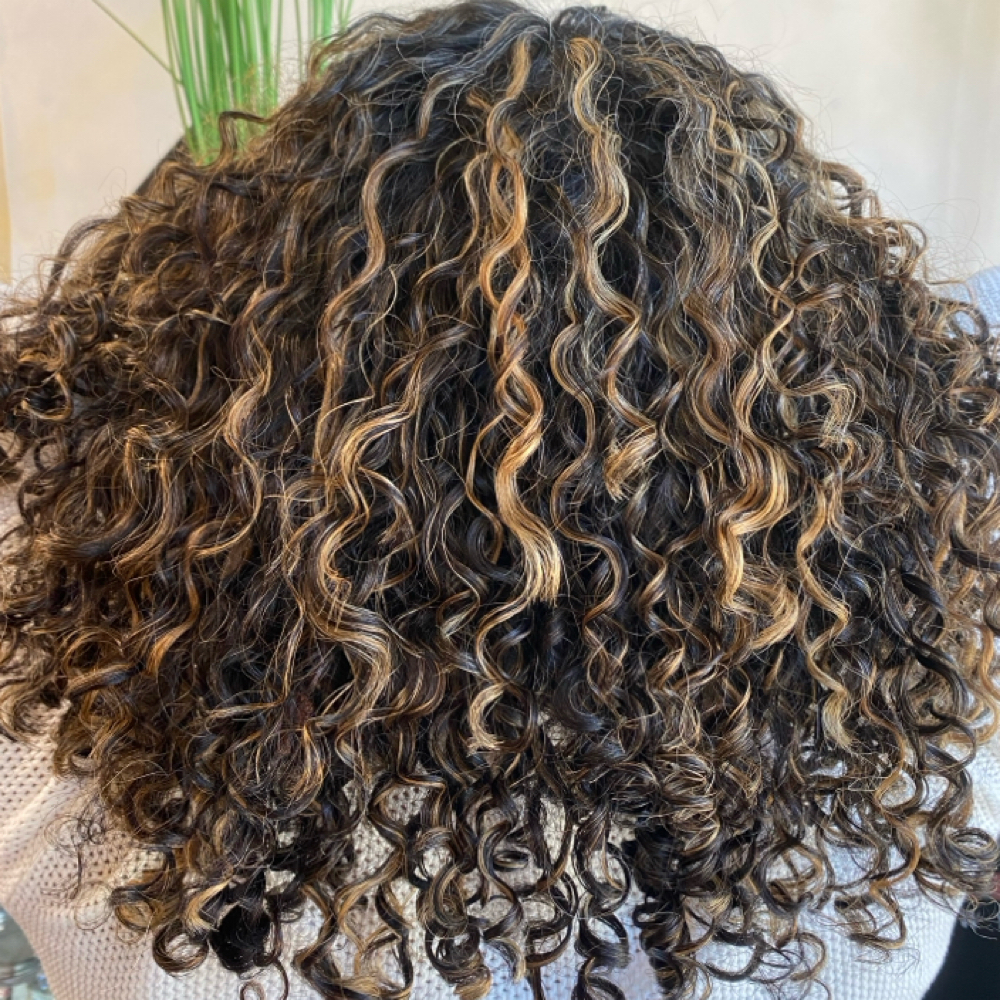 Rëzo Lites (Partial Head) ✨ at Golden Curls in Newburgh, NY
