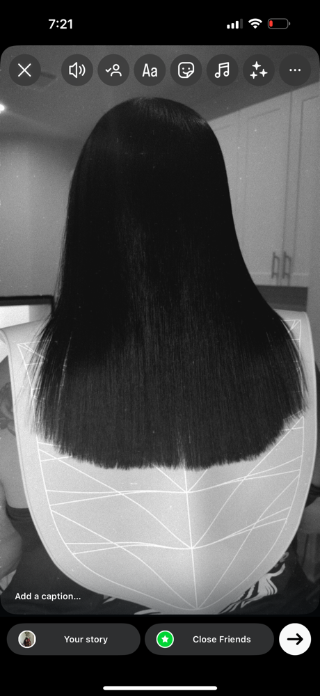 Silk Press | Blow Dry+Wash+Detox | at Too Exclusive Hair Bar in Aubrey, TX