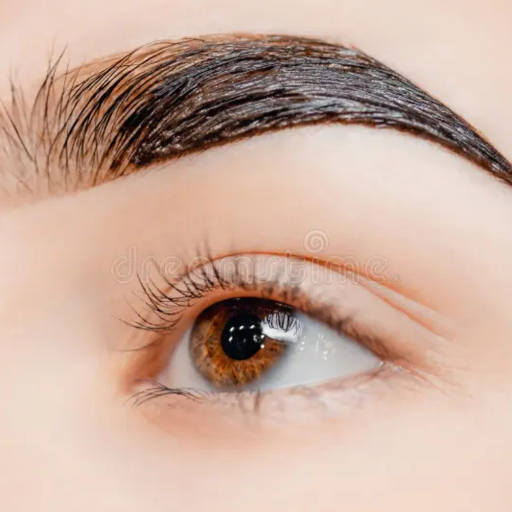 Brow Combo Clean Up + Tint at Ipanema Skincare in St Charles, IL