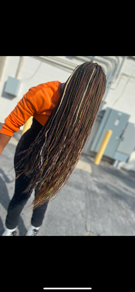 Knottless Box Braids (SMALL) at ChariseRenee’J Hands of A Goddess in Kettering, MD