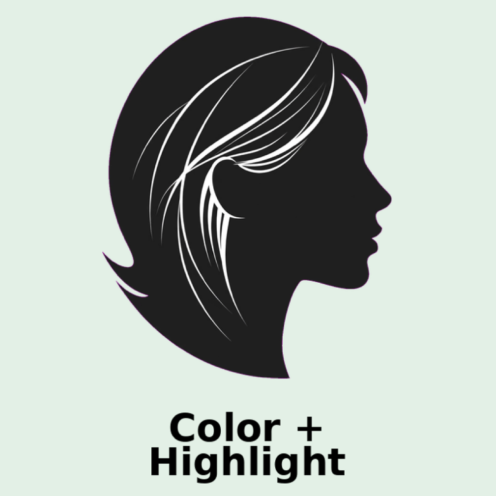 Color /Highlight Combo Services at Lety Bruce in Jacksonville, FL