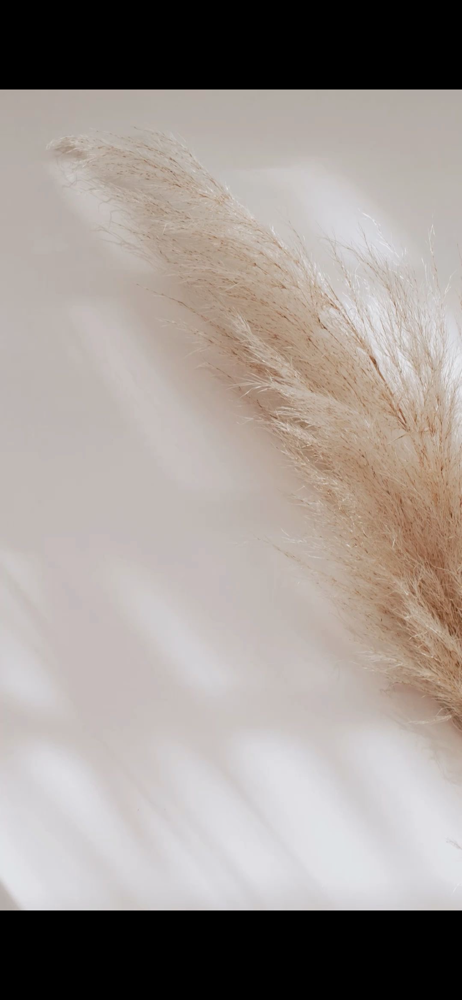 Brazilian Wax + Vajacial