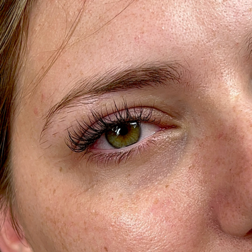 Classic Lash Fill at Salon Niche in Knoxville, TN