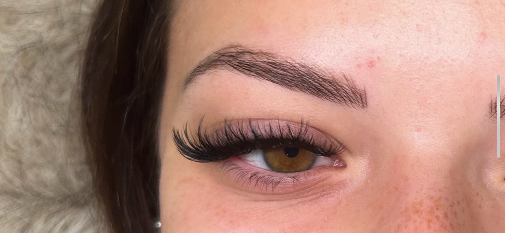 Light Volume/ Hybrid