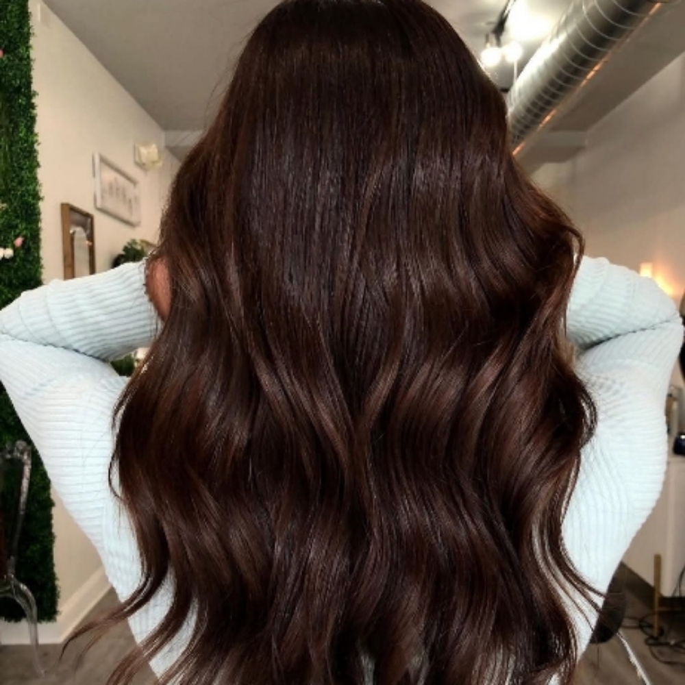 All Over Color (1 Base Color) at HAIR BY TANISHA in Barbourville, KY