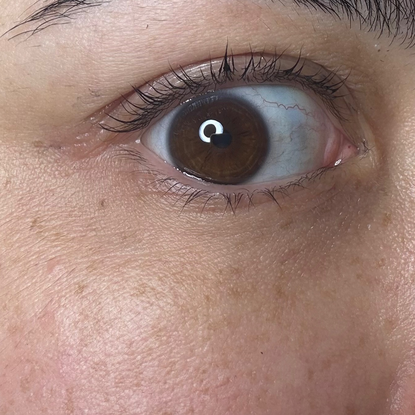 Lash tint at REvitalized skin and wax studio in Salem, IN