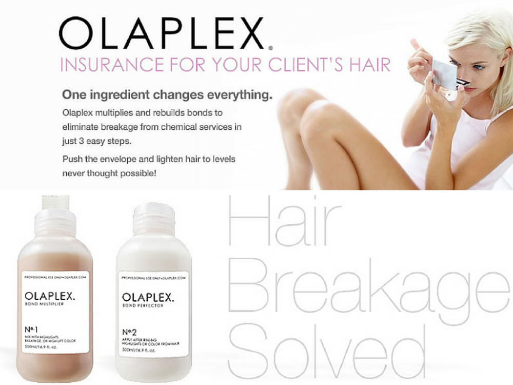 Full Olaplex Treatment