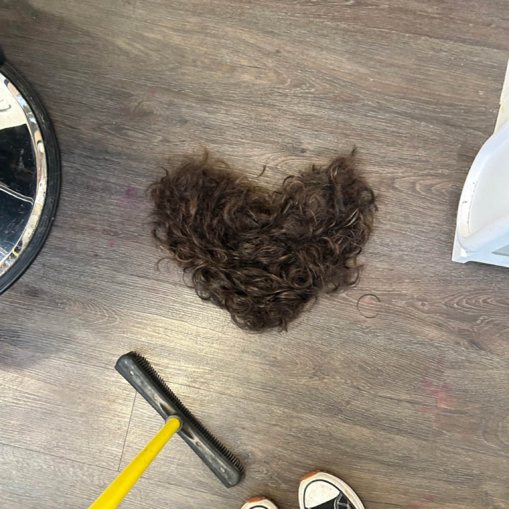 Classic Cut at Vivid Visions KC in Kansas City, MO