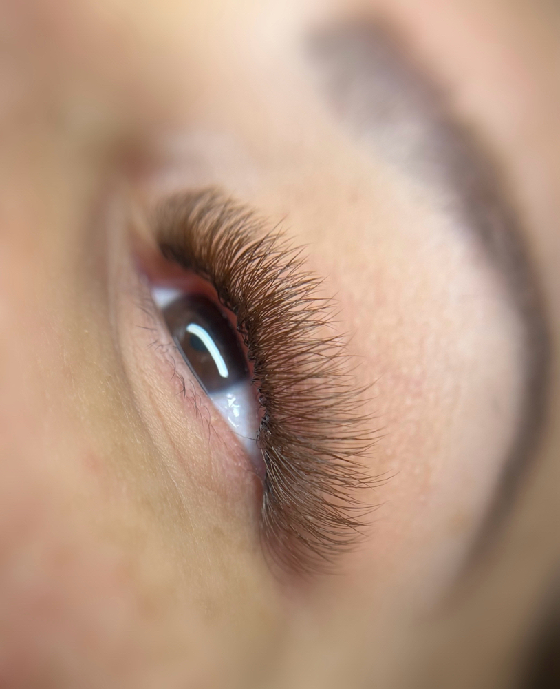 Brown Lashes 3 Week Fill