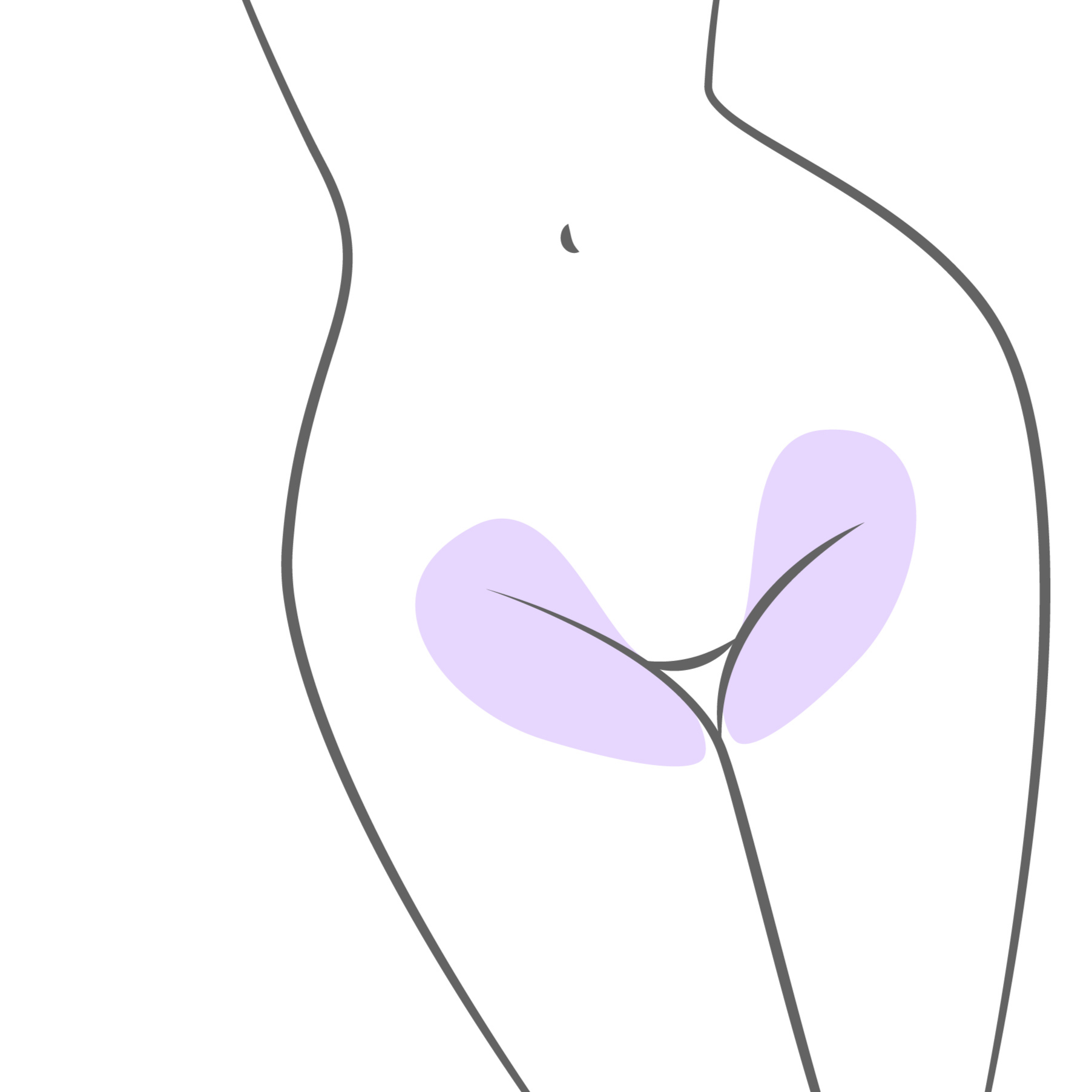 Modified Bikini (Ladies)