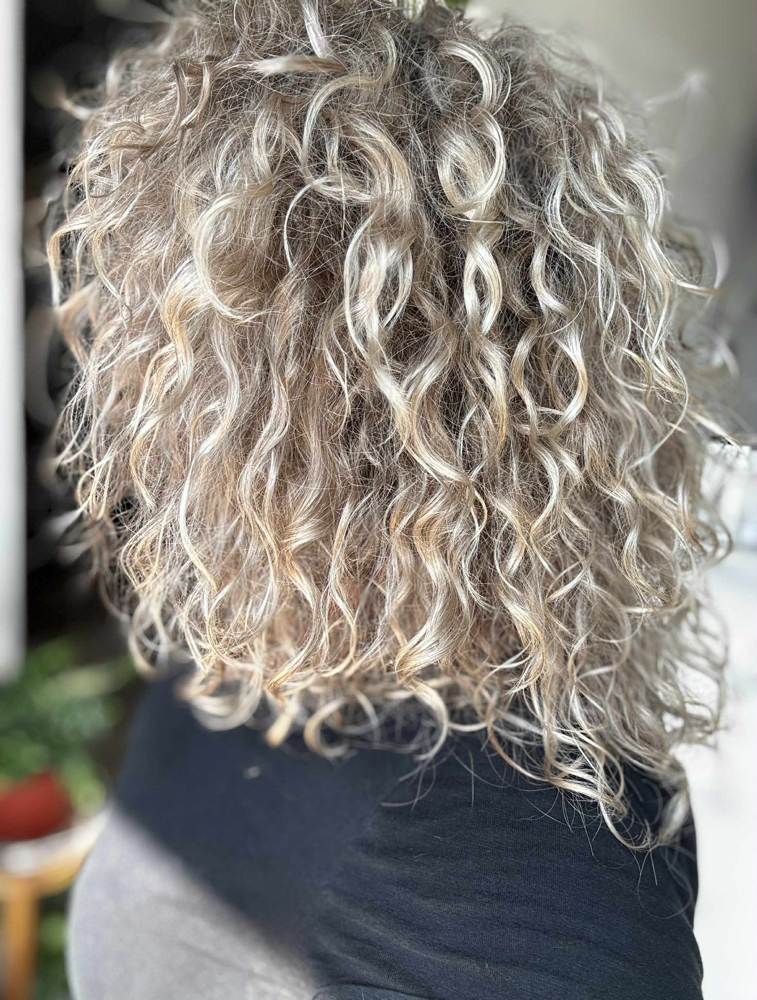 Curly Cut at Lotus Hair & Co in Rochester, NY