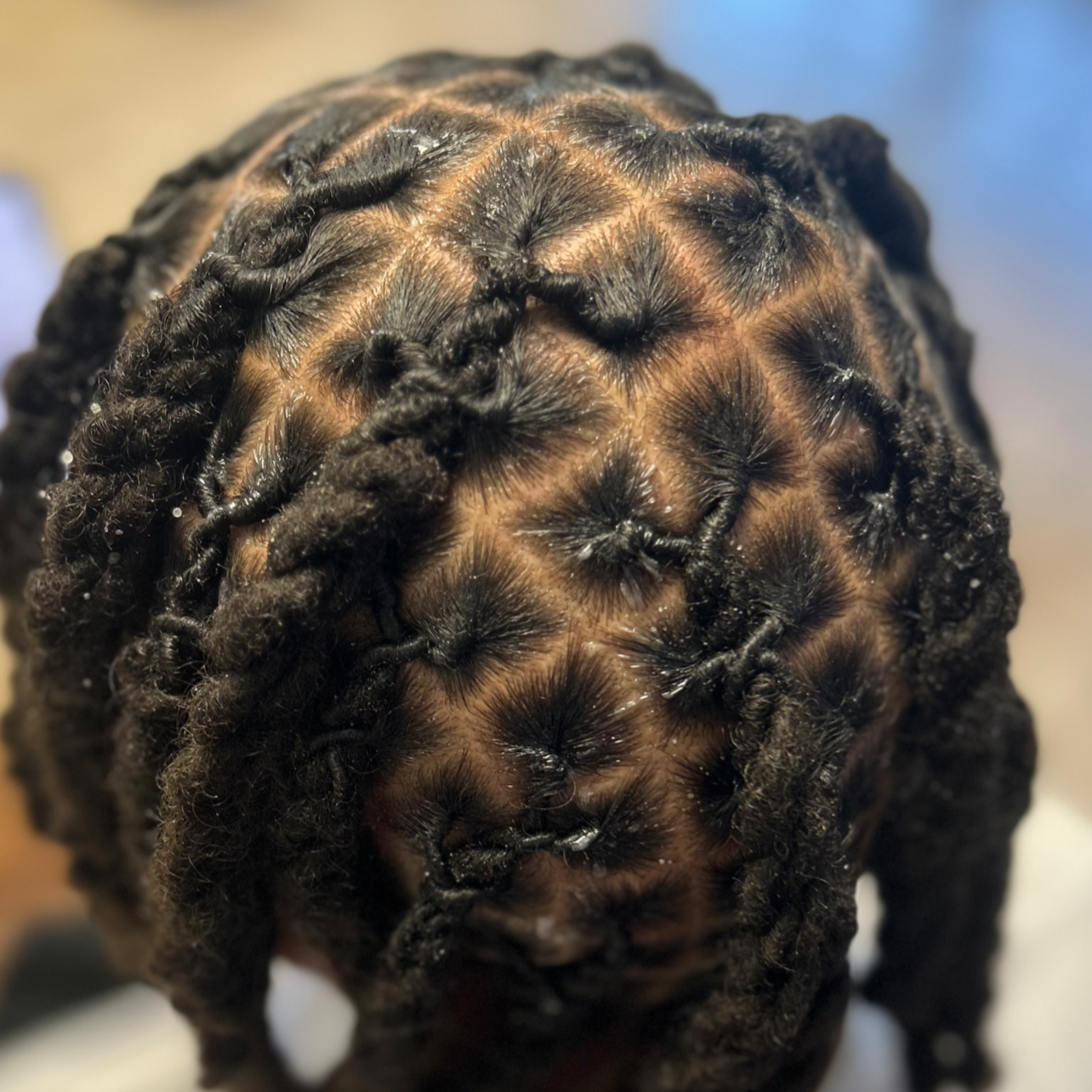 Loc Services at Vee’s Loc And Braid Studio in Tampa, FL