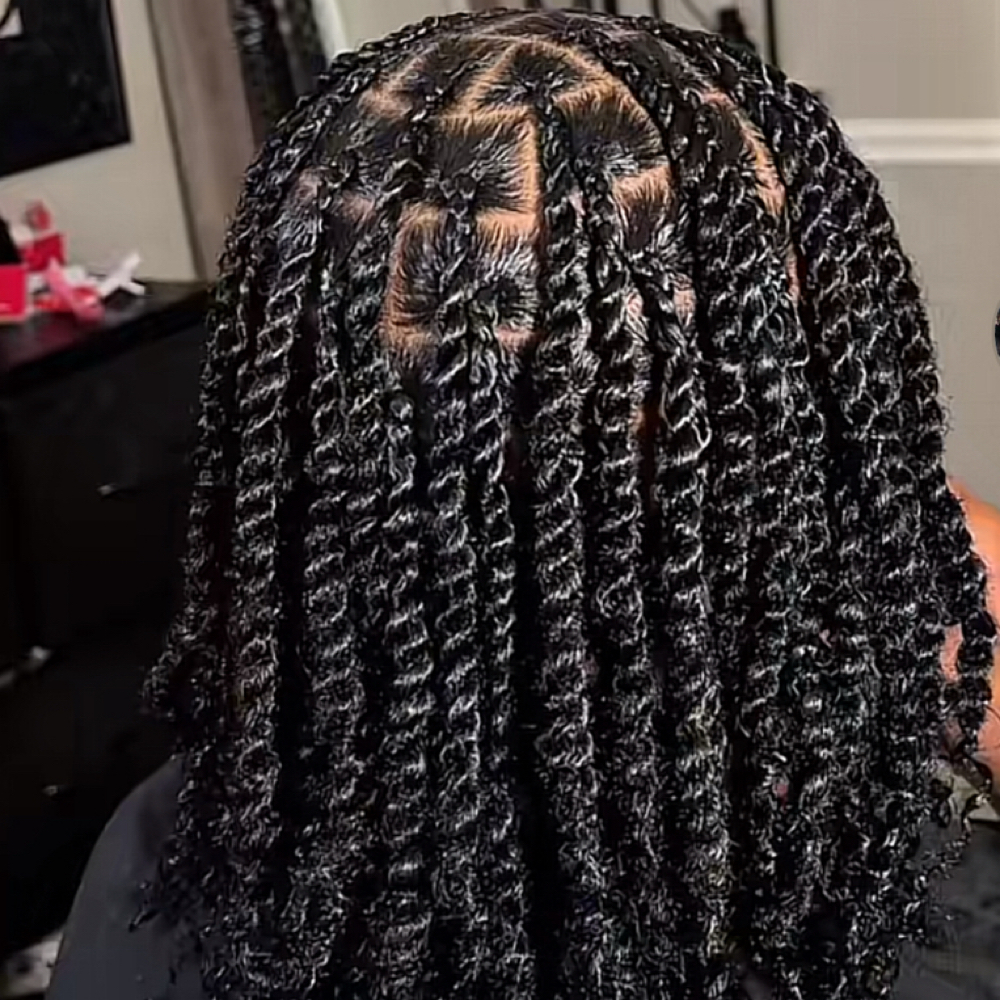Twists With Natural Hair