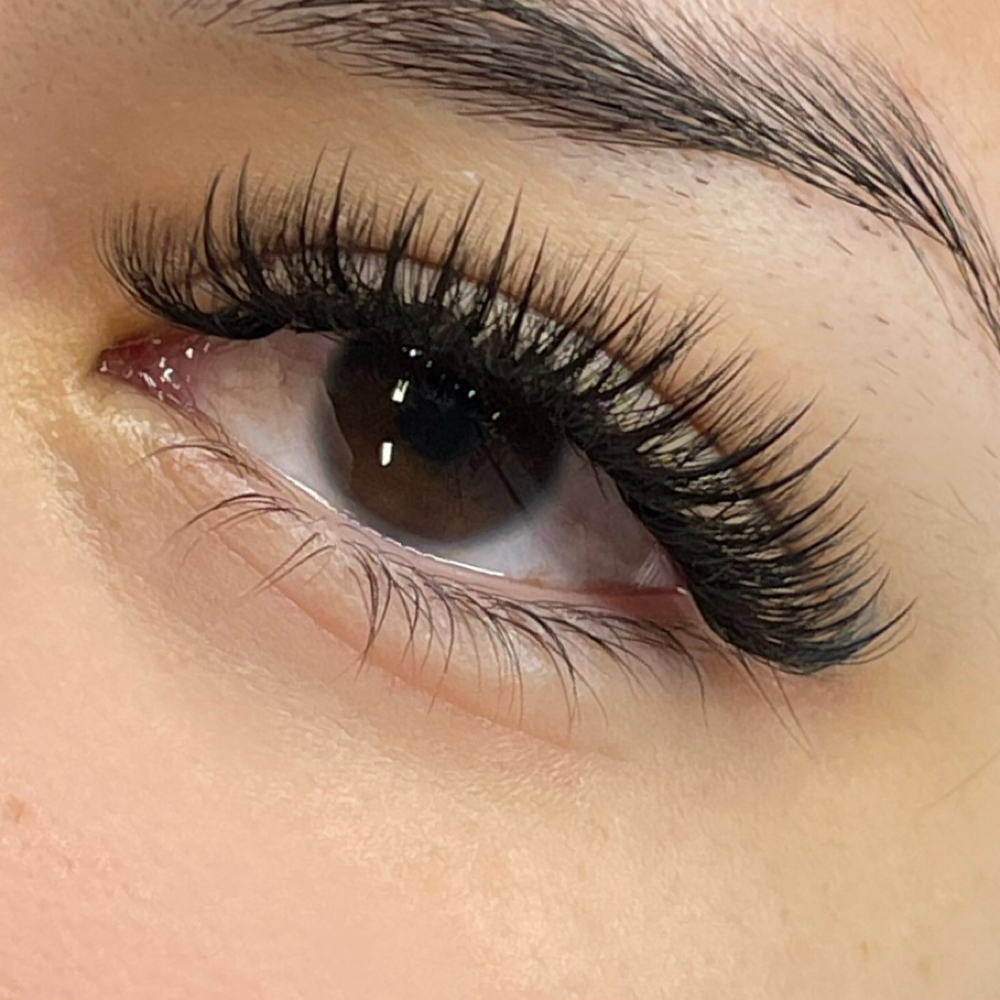 Hybrid at K AMOUR LASH & HAIR in Lathrop, CA