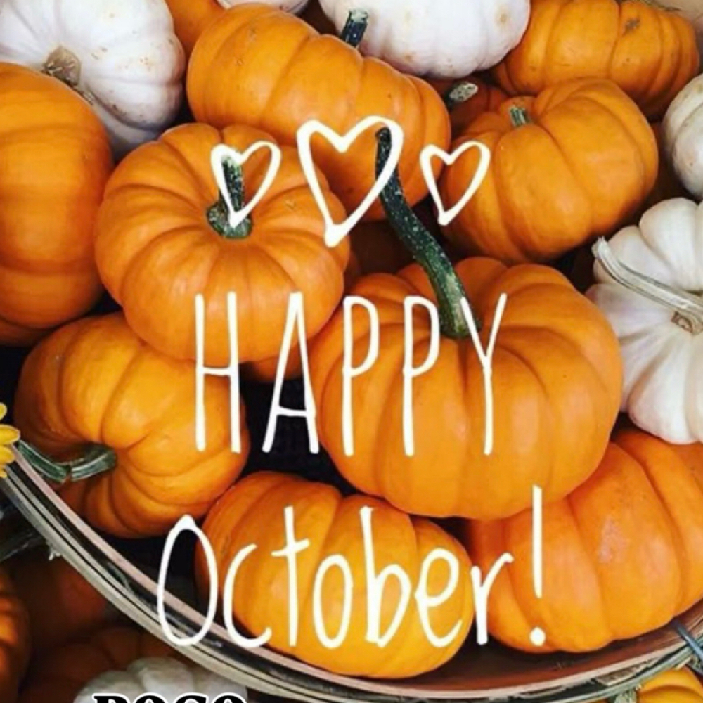 October Promotion 🍁 at Golden Glow Sunless Studio LLC in WESTFORD, MA