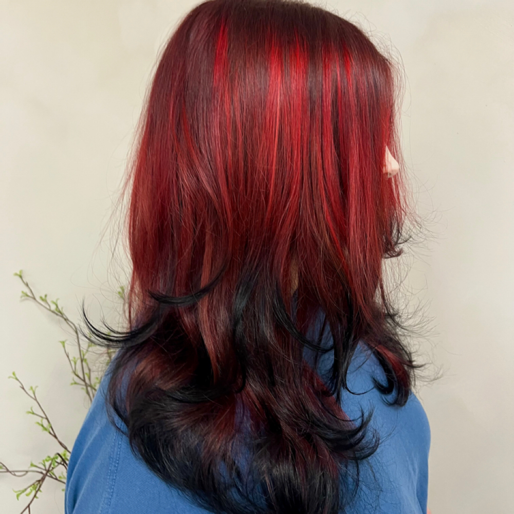 Medium-long scissor cut at DyeHardCali in Alliance, OH