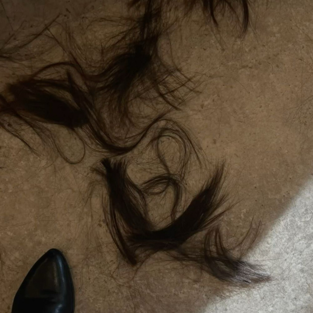 Dry Haircut at Ember Hair Studio in Bonney Lake, WA