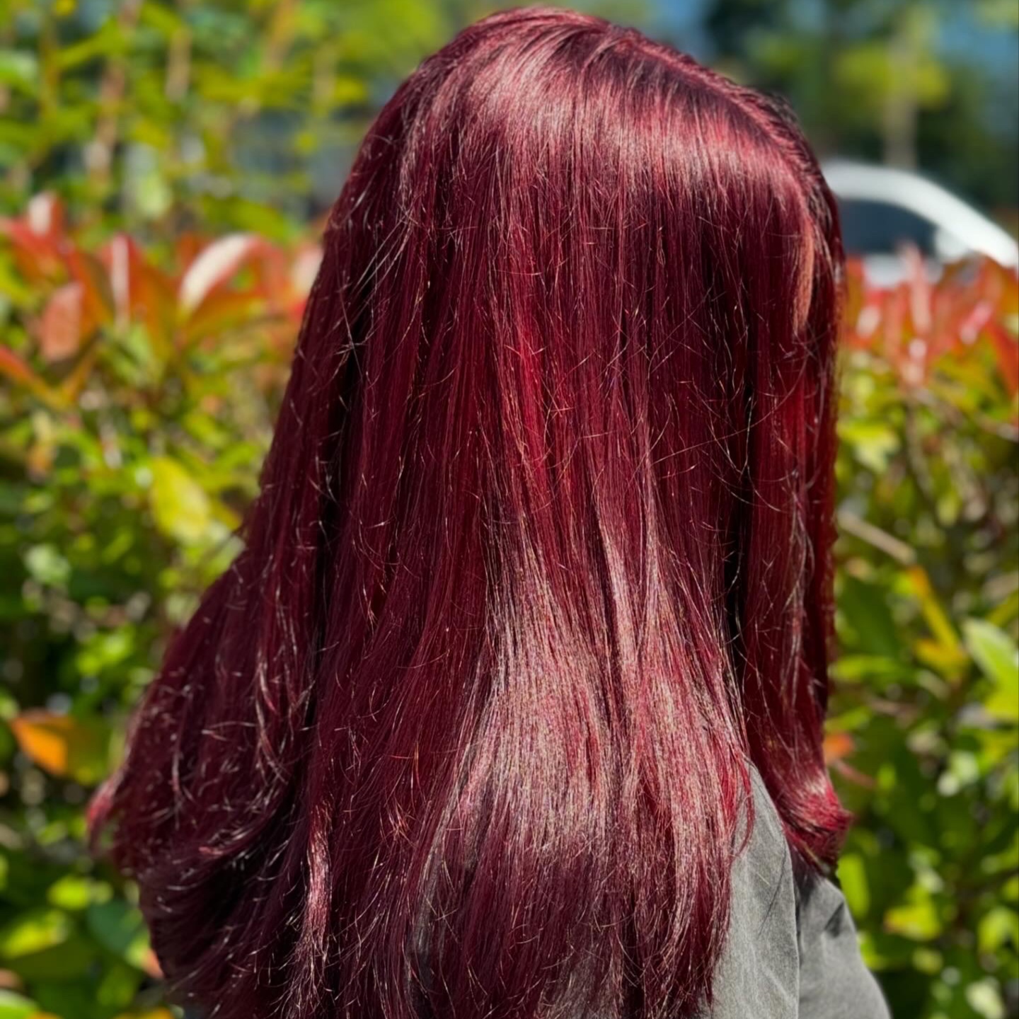 Color at Hair By EEmily in Shoreine, WA