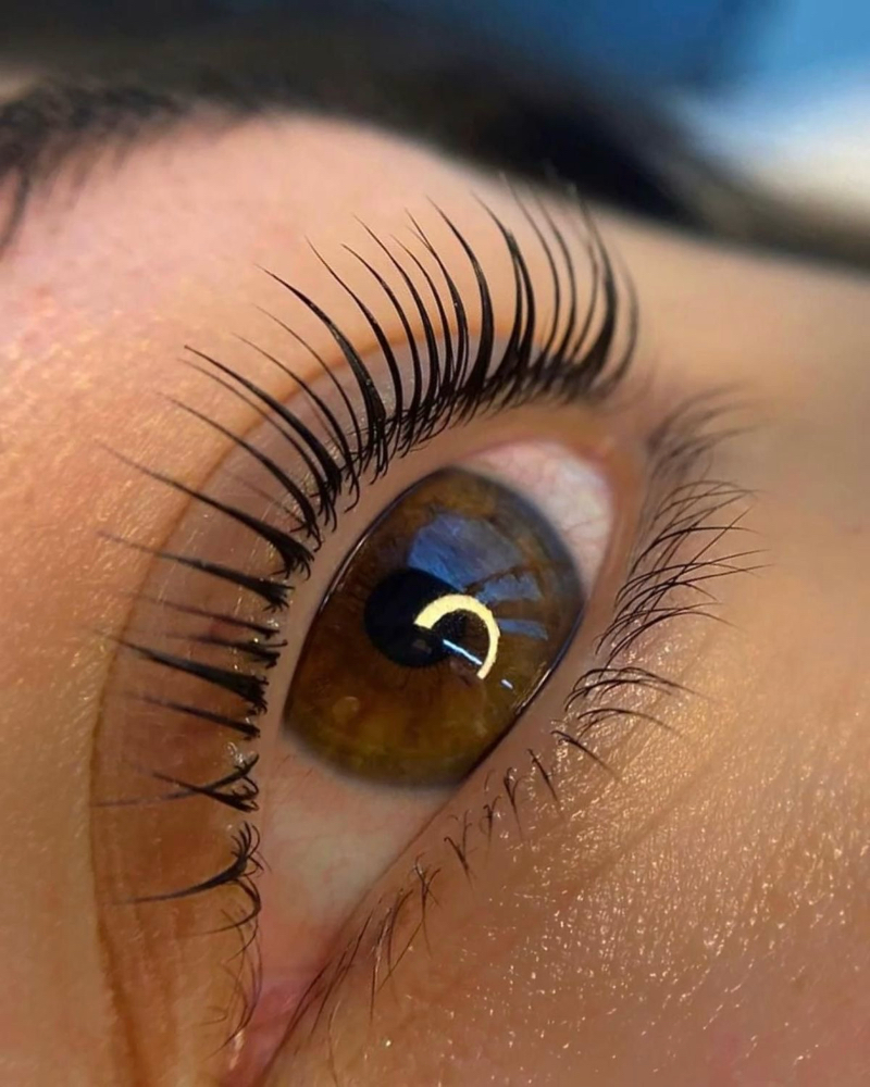 Lash Lift & Tint