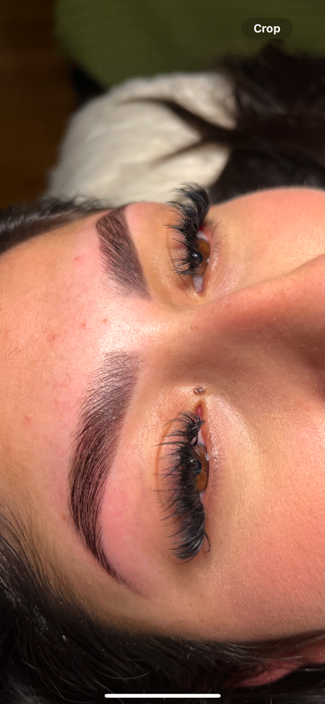 Brow Trio / Lami,depi,tinte
