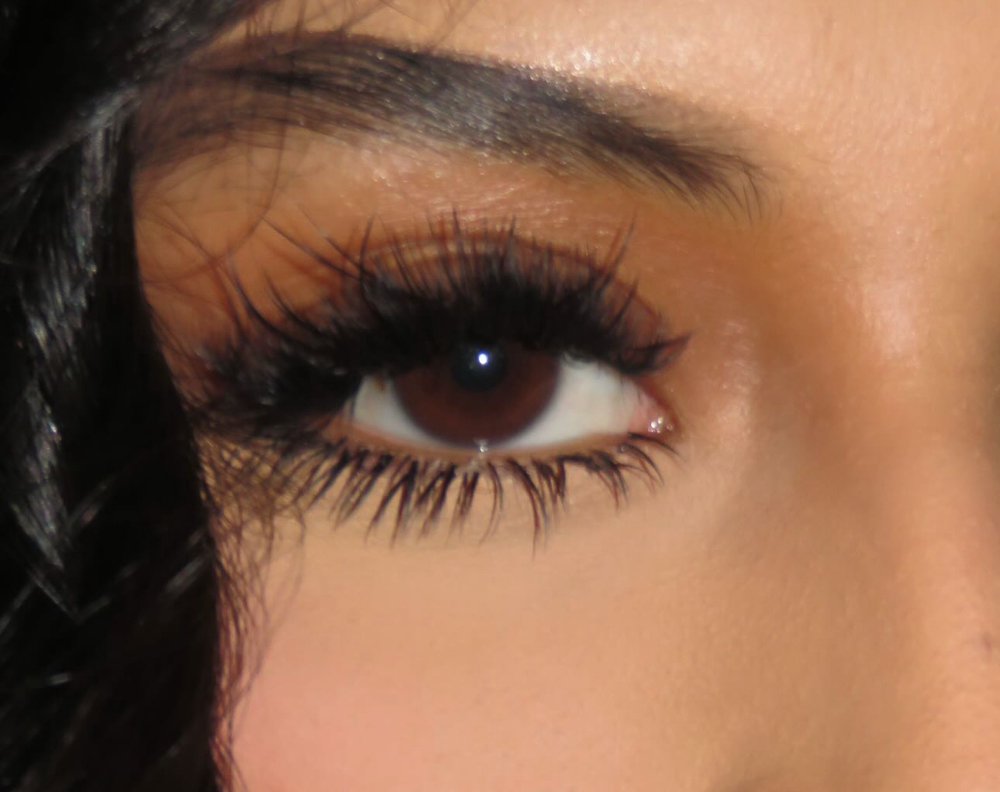 Bottom Lashes