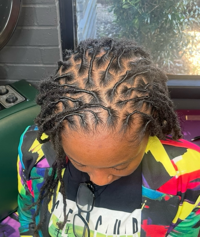 Loc Retwist