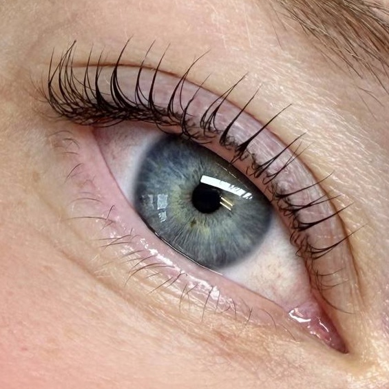 Lash Tint at Gingie Lashes & Brows in Buffalo Grove, IL