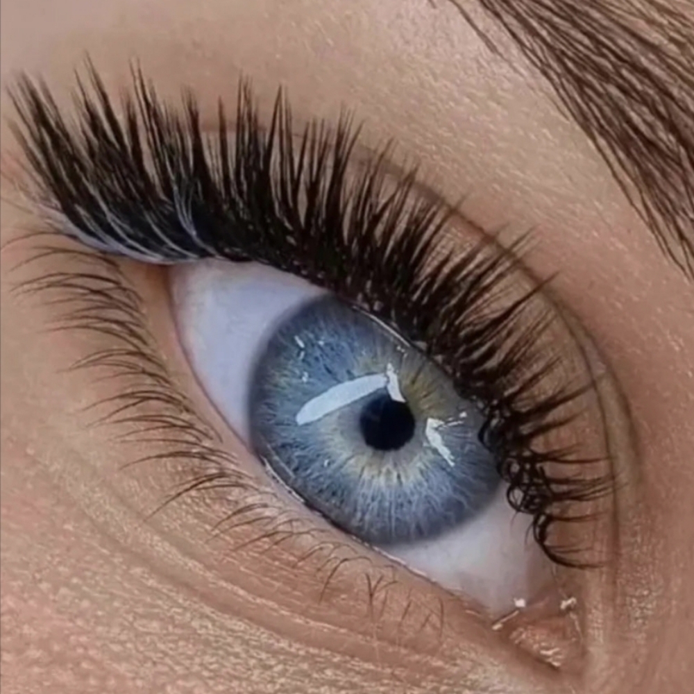 The Lash Club- Hybrid at Coiffeur Salon & Boutique in Loveland, CO