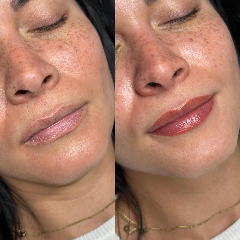 LIP BLUSH FUNDAMENTALS COURSE