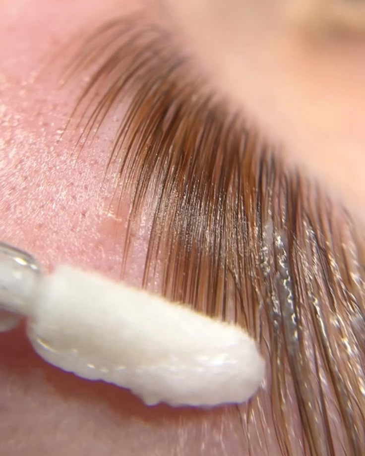 Eyebrow Lamination