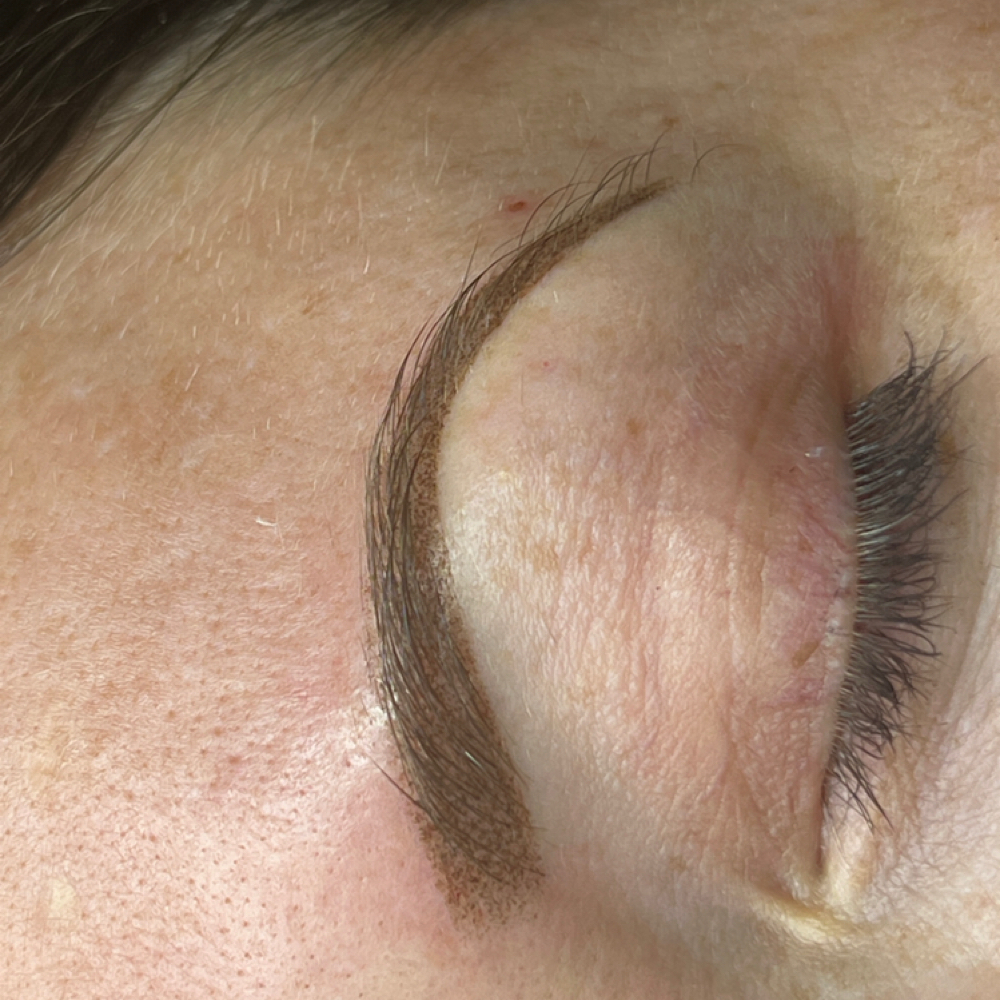 Powder Brows at EnvyMeBeauty in Brazil, IN