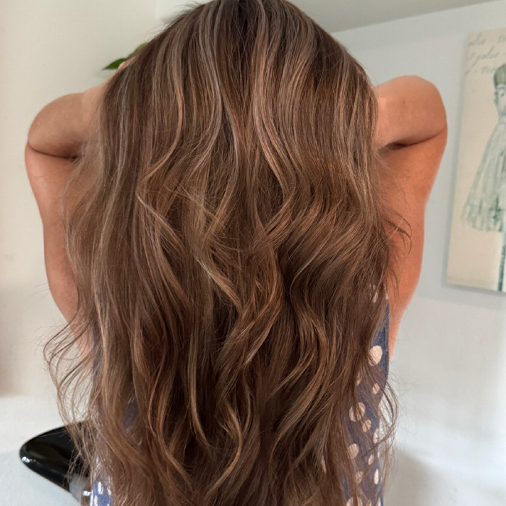 Signature Highlight + Cut at Dani Gonz Hair Artistry in Colorado Springs, CO