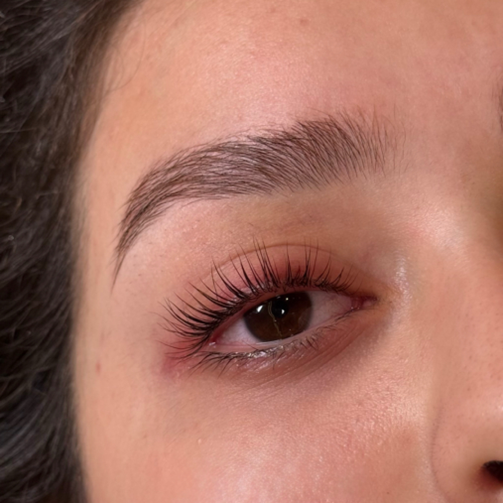 Brow Lamination + Tint Only at The Good Skin Studio in Los Angeles, CA