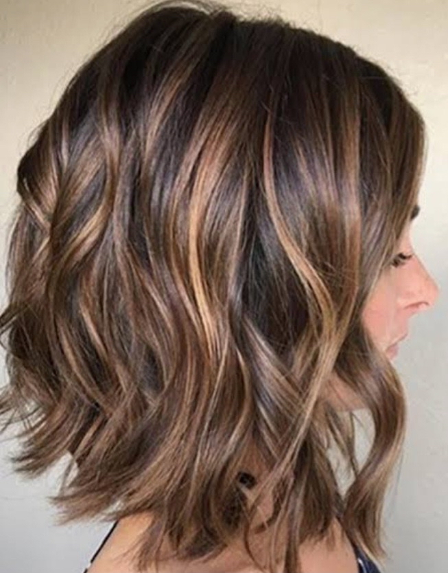 Hair Cut /Root Touch-Up