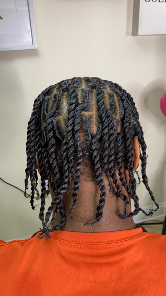 Two Strand Twist Style