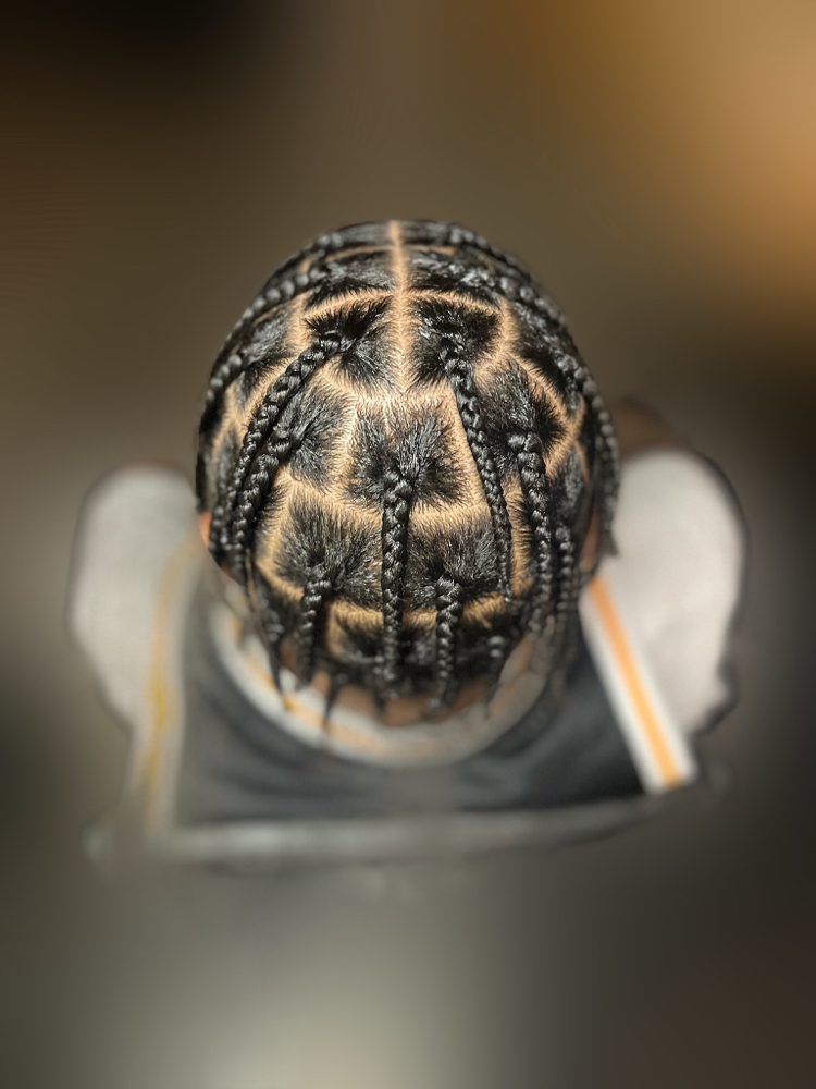 Natural Box Braids: Medium