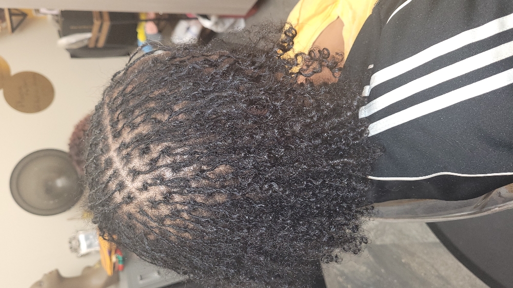 Mini Twist (Starter Locs)