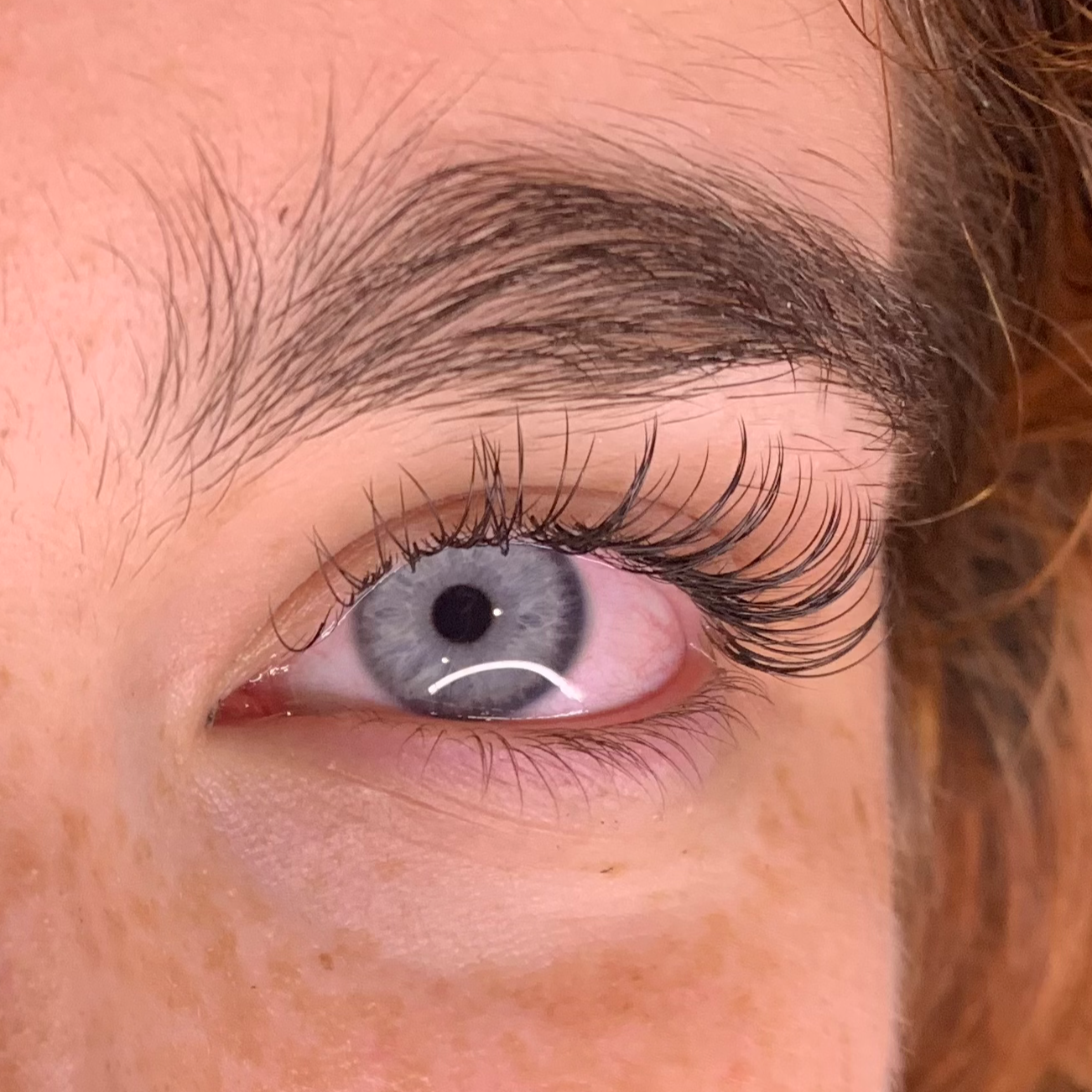 "Classic" Regular New Set of Lashes