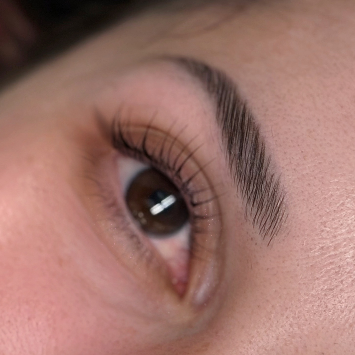 Brow Lamination & Tint at Lashmor Studio in Anaheim, CA