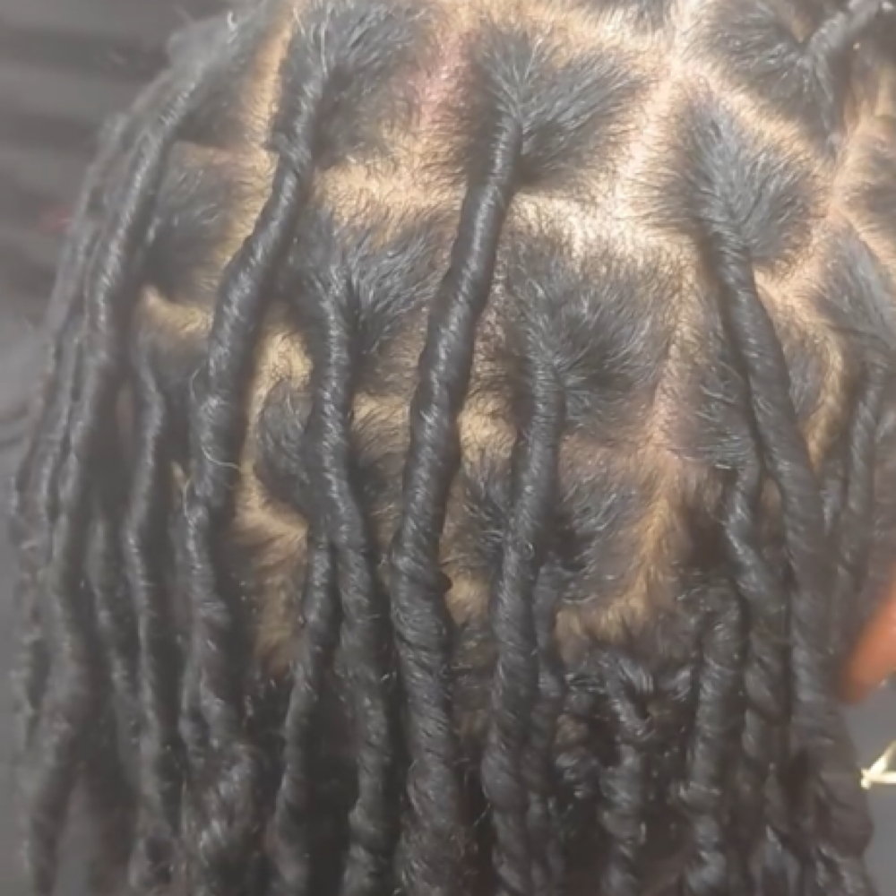 Starter Locs at The Oasis Natural Hair Salon in Gibsonville, NC