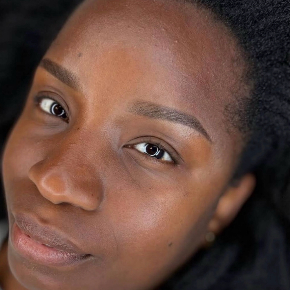 Mini Brow Touchup (3-4 Months) at APMU Studio in Augusta, GA