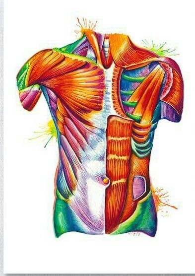 Abdominal Drainage