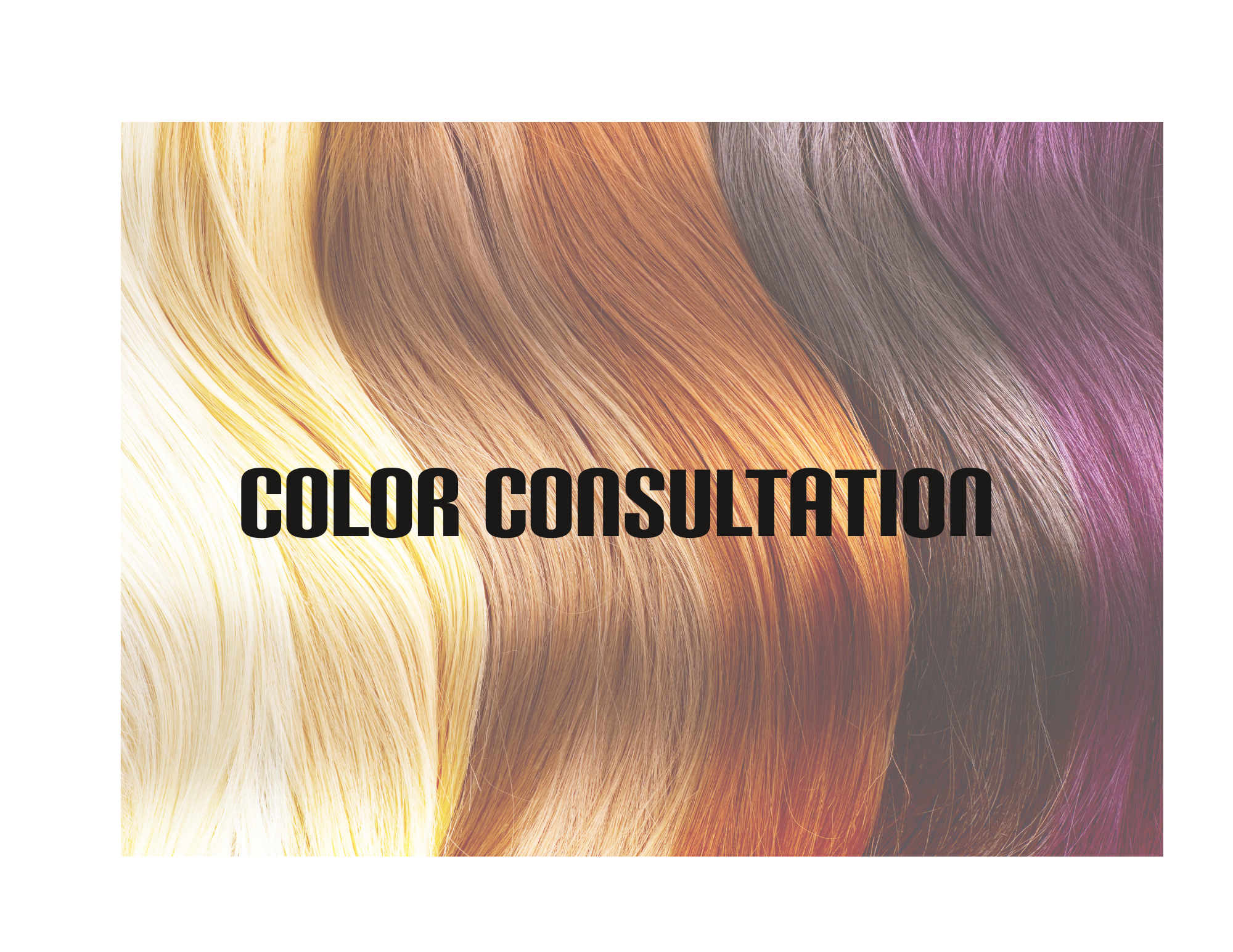 Color Consultation